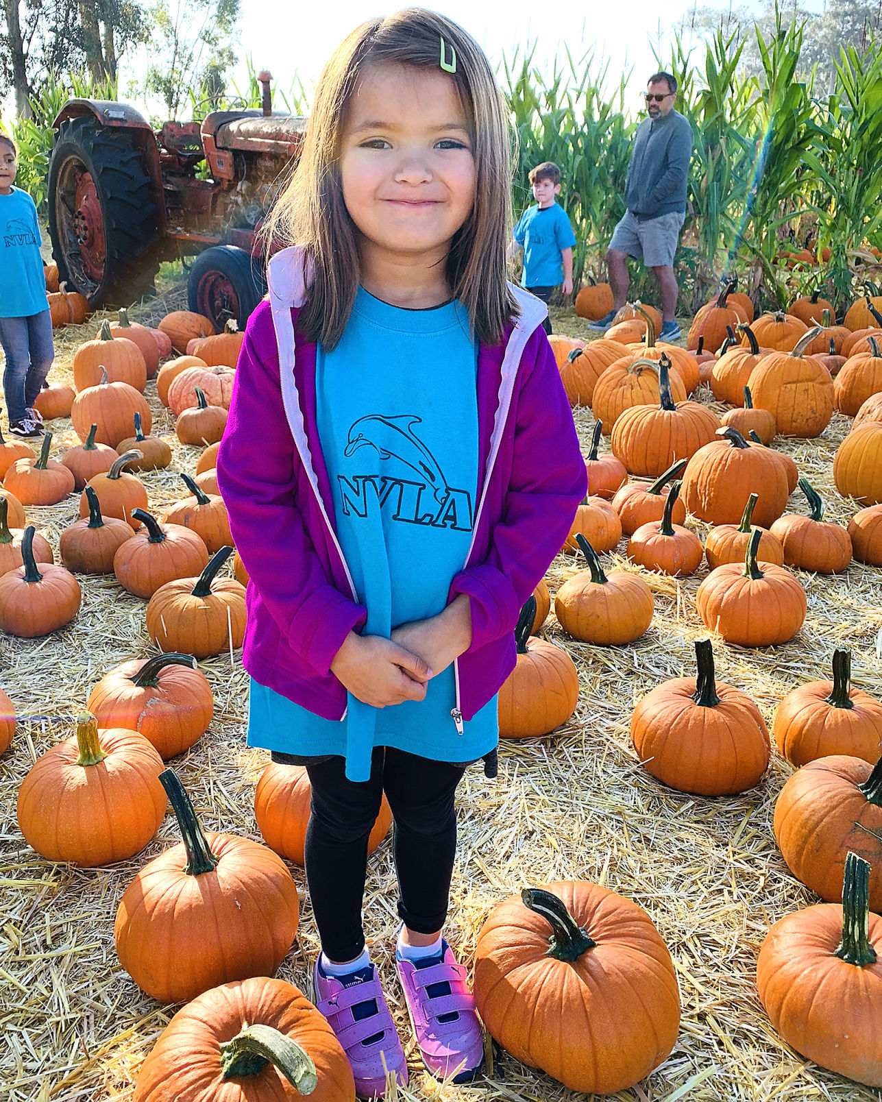 Pumpkin Patch